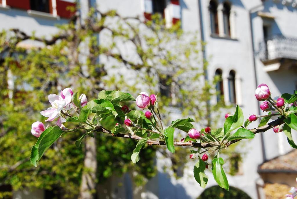Apartments Schloss Paschbach Appiano Sulla Strada Del Vino Exterior photo
