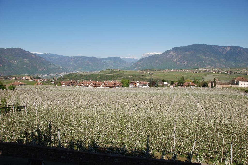 Apartments Schloss Paschbach Appiano Sulla Strada Del Vino Exterior photo