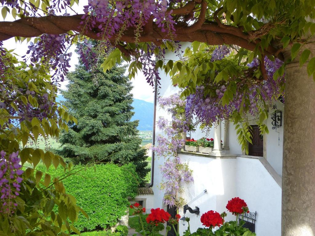 Apartments Schloss Paschbach Appiano Sulla Strada Del Vino Exterior photo